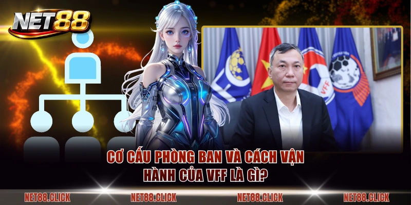 Cơ cấu phòng ban và cách vận hành của VFF là gì?