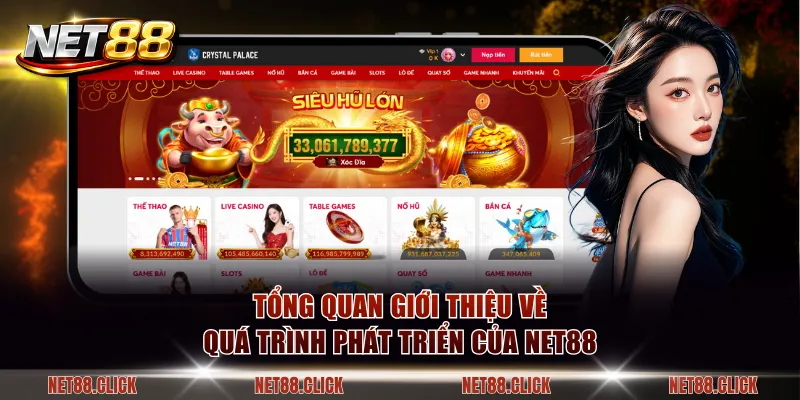 Tổng quan giới thiệu về quá trình phát triển của NET88